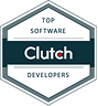 Top Software Developers