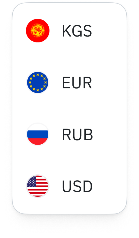 Выбор валюты: KGS, EUR, RUB, USD
